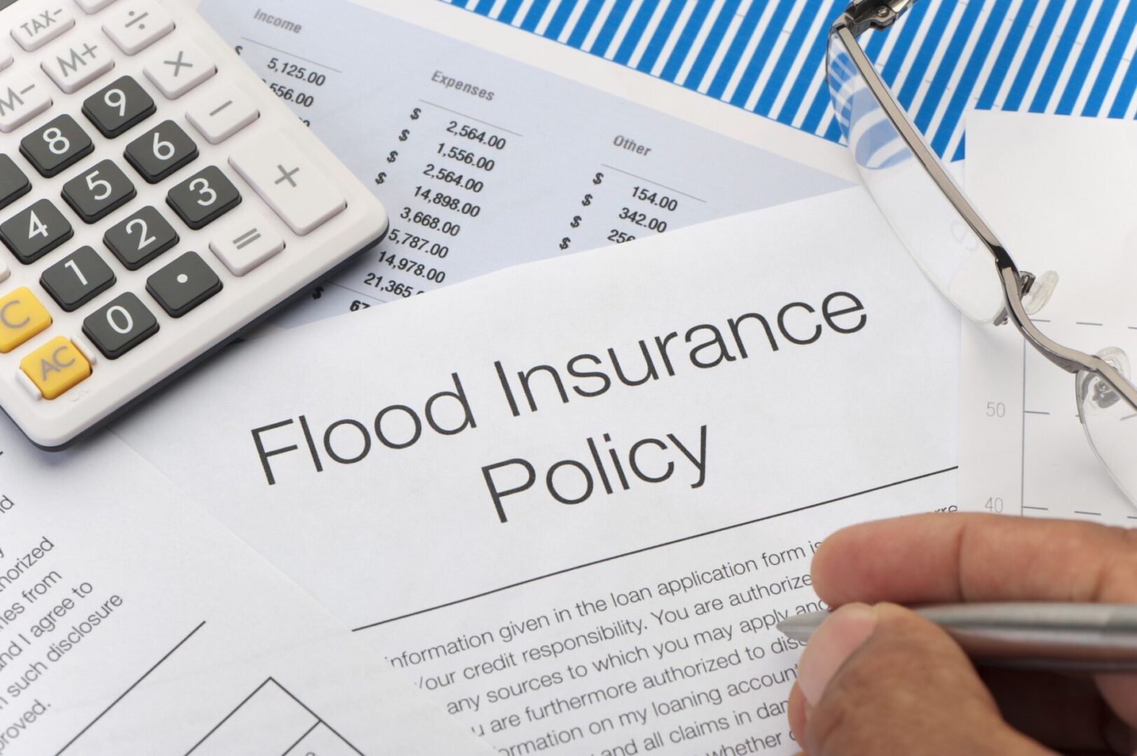 New Vision Insurance Agency