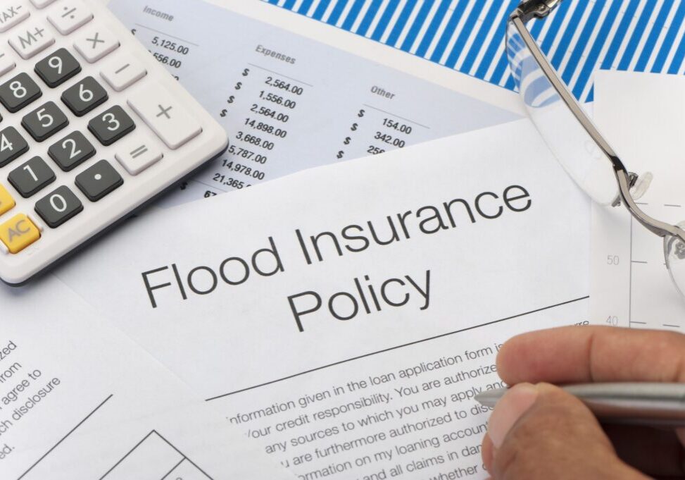 New Vision Insurance Agency