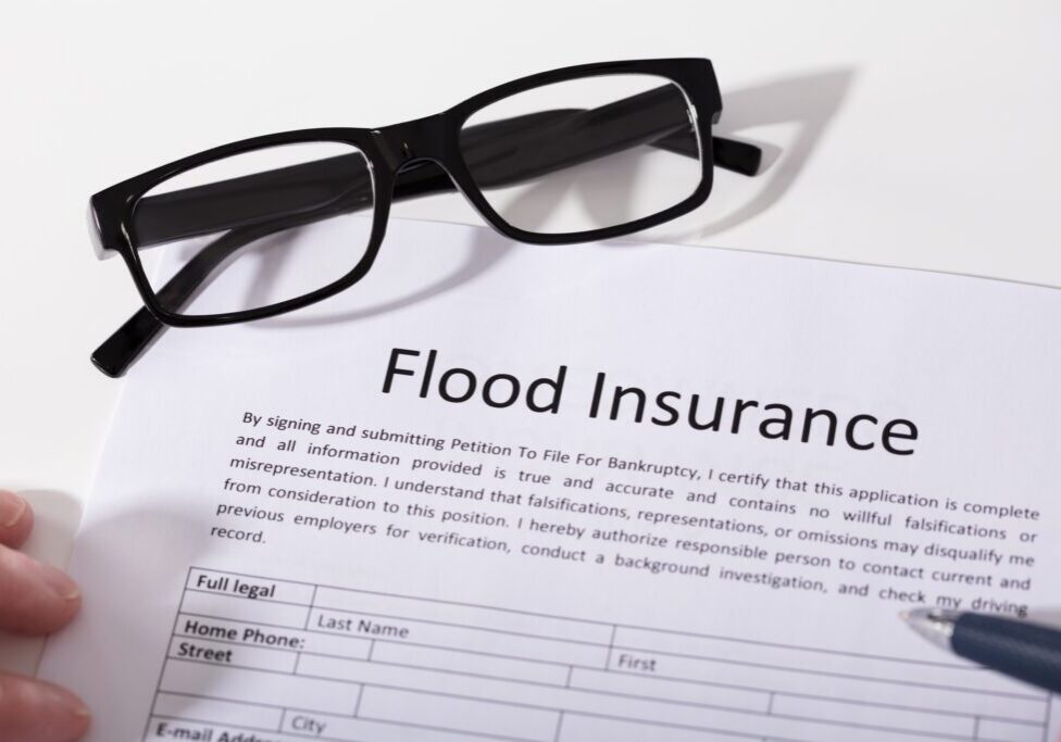 New Vision Insurance Agency